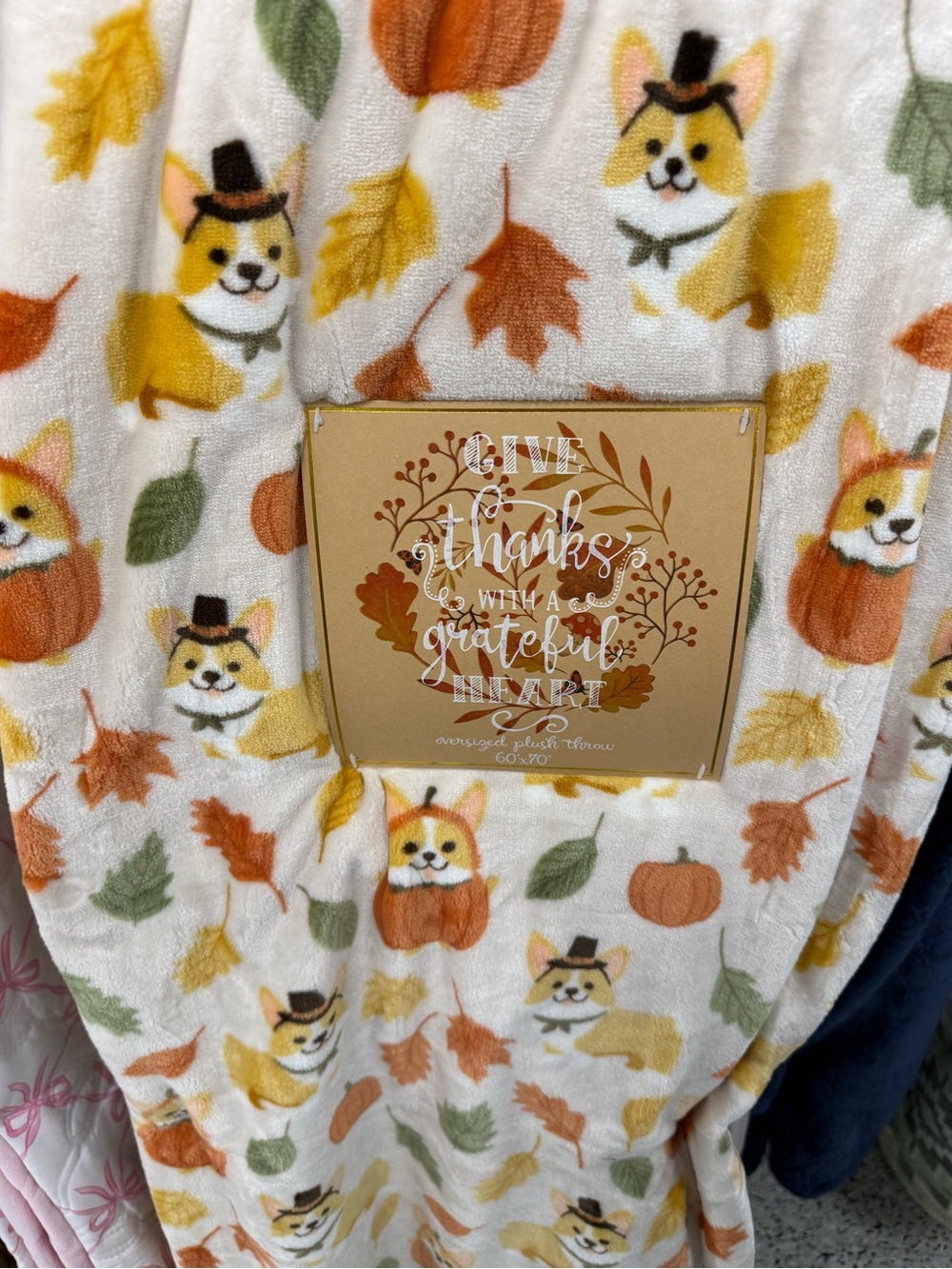 Thanksgiving Corgi Plush Throw Blanket - White with Orange & Green